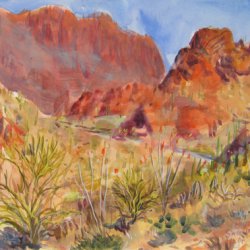 daniel-fisher-aquarelles-amerique002