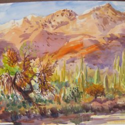 daniel-fisher-aquarelles-amerique003