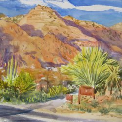 daniel-fisher-aquarelles-amerique008