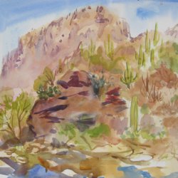 daniel-fisher-aquarelles-amerique009