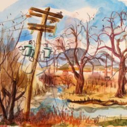 daniel-fisher-aquarelles-amerique018