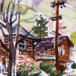 daniel-fisher-aquarelles-amerique022