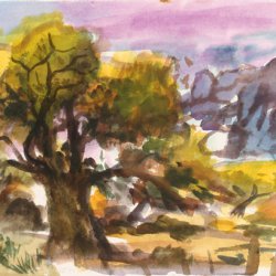daniel-fisher-aquarelles-espagne003