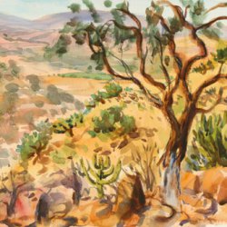 daniel-fisher-aquarelles-mexique004