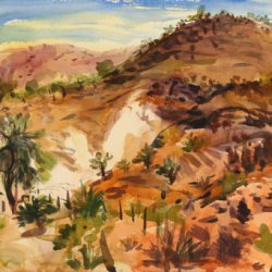 daniel-fisher-aquarelles-mexique005