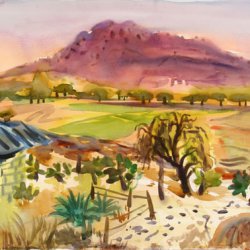 daniel-fisher-aquarelles-mexique008